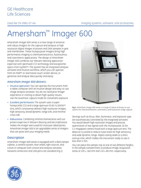 Amersham Imager 600