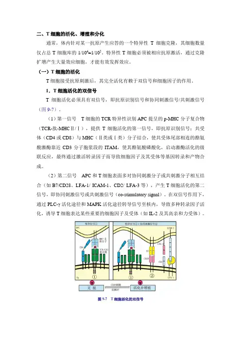9.5T细胞的活化、增殖和分化