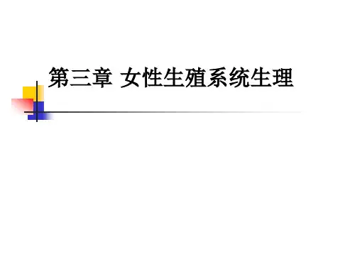 第三章女性生殖系统生理讲述