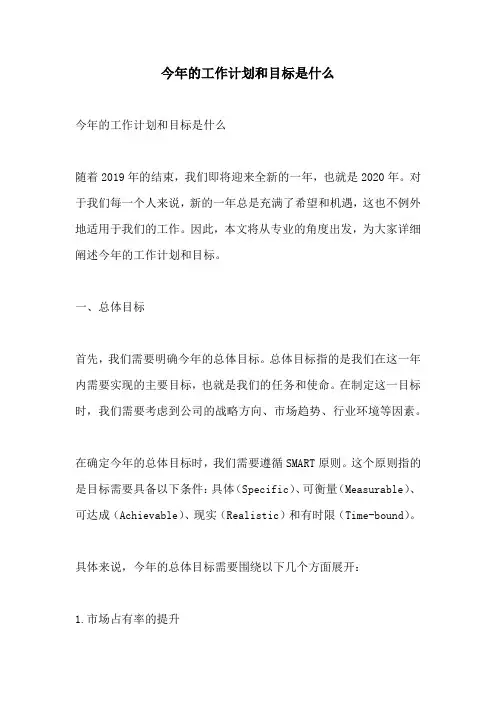 今年的工作计划和目标是什么