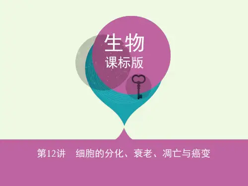高考生物一轮复习分子与细胞第4单元细胞的生命历程第12讲细胞的分化、衰老、凋亡与癌变()一等奖公开课