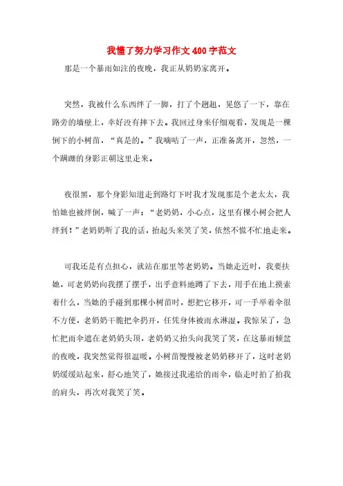 我懂了努力学习作文400字范文