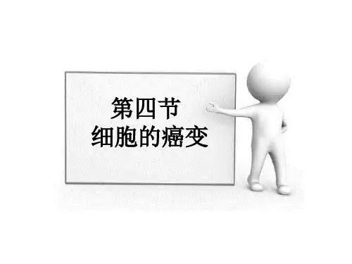 6.4细胞的癌变-课件-人教版高中生物必修一