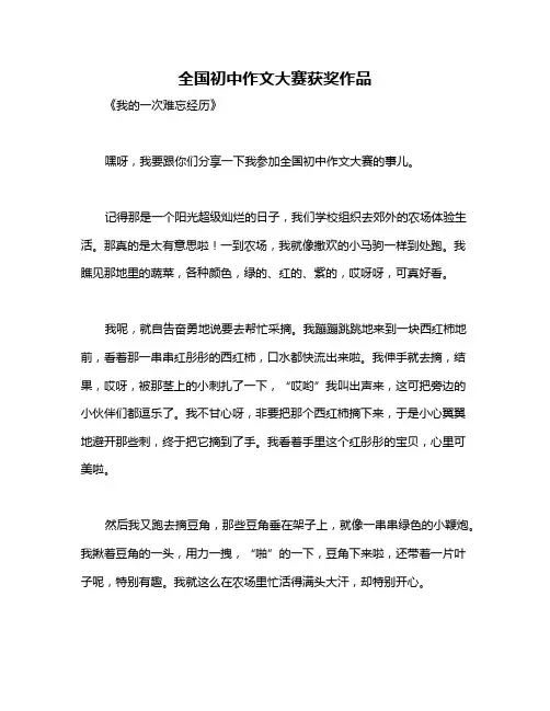 全国初中作文大赛获奖作品