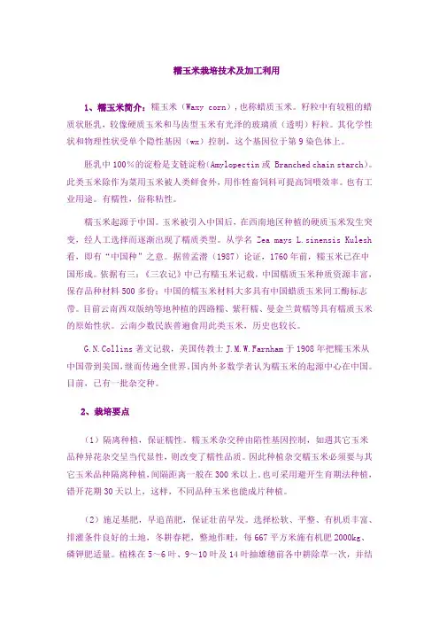 糯玉米栽培技术及加工利用