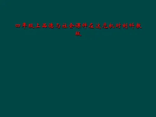 四年级上品德与社会课件在这危机时刻科教版