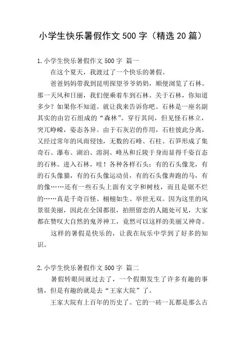 小学生快乐暑假作文500字(精选20篇)