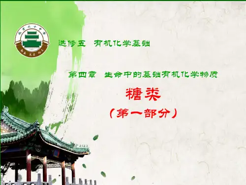 2018年北京海淀第四章   生命中的基础有机化学物质 糖类说课(22张)