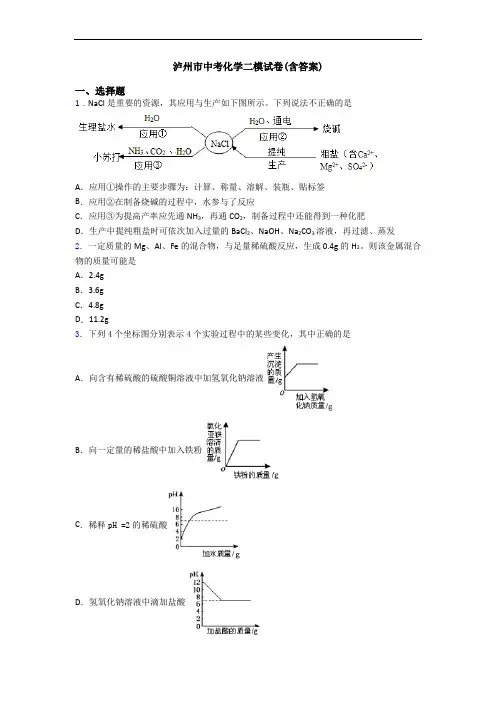 泸州市中考化学二模试卷(含答案)