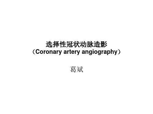 冠脉造影文稿