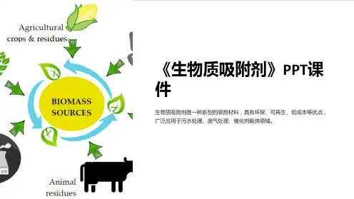 《生物质吸附剂》课件