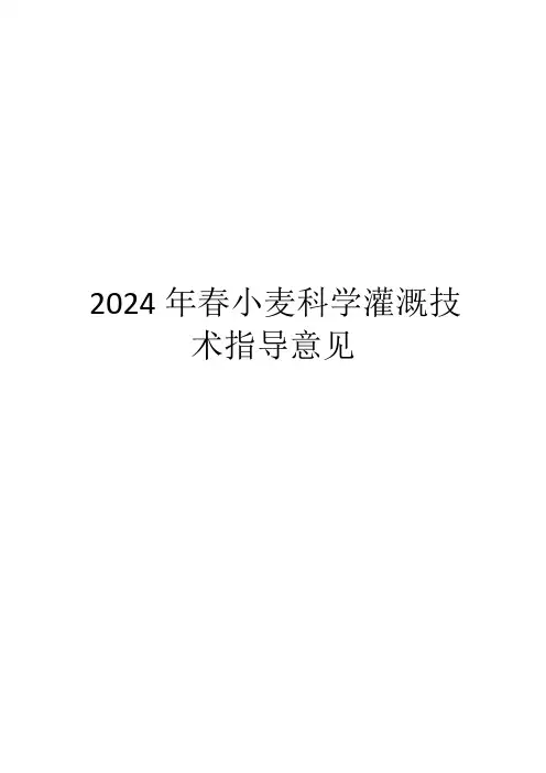2024年春小麦科学灌溉技术指导意见