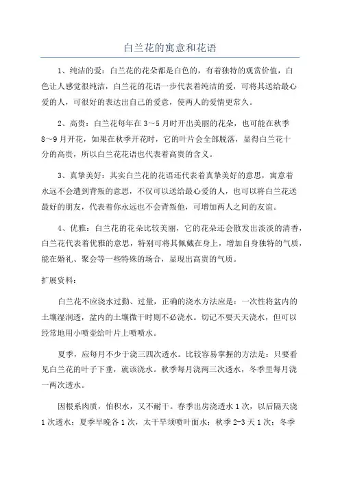 白兰花的寓意和花语