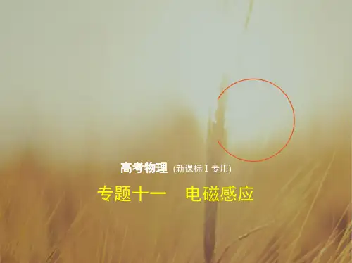 2018年高考物理课标Ⅰ专用复习专题测试专题十一 电磁感应 共173张 精品