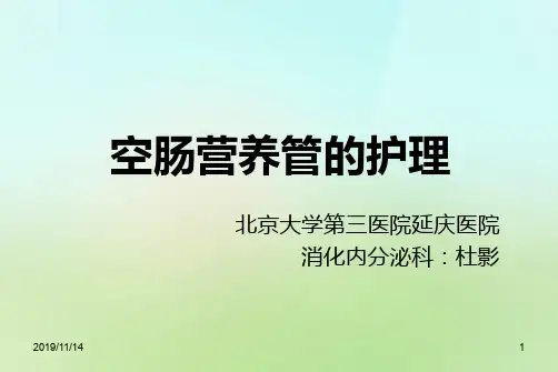 空肠营养管PPT课件