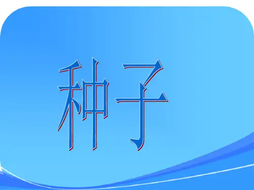 三年级下册科学第一单元复习课(课堂)