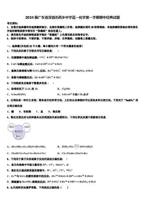 2024届广东省深圳市西乡中学高一化学第一学期期中经典试题含解析