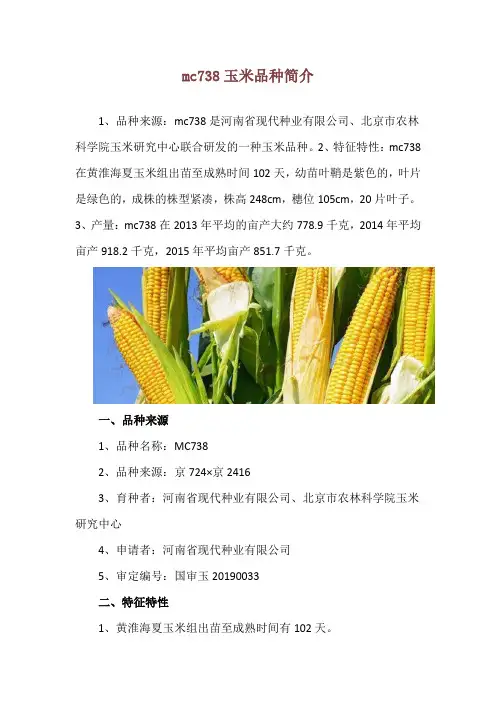 mc738玉米品种简介