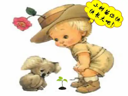 苏科版生物七上4.1《植物的光合作用》实用配套同步课件(共33张PPT)