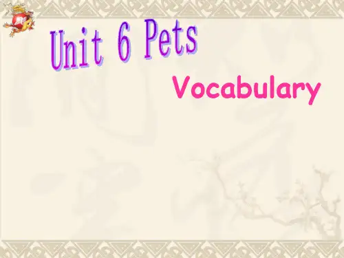 牛津译林版英语七年级下册《Unit 6 Pets》课件