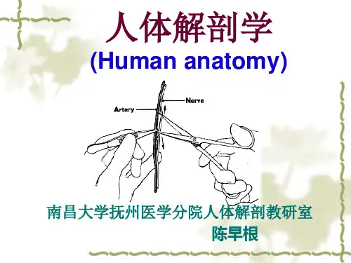 1绪论、总论