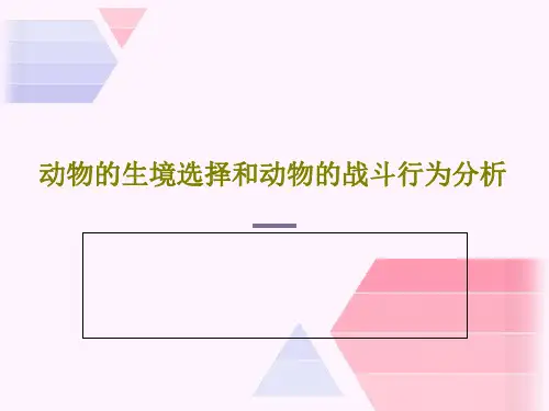 动物的生境选择和动物的战斗行为分析共44页PPT