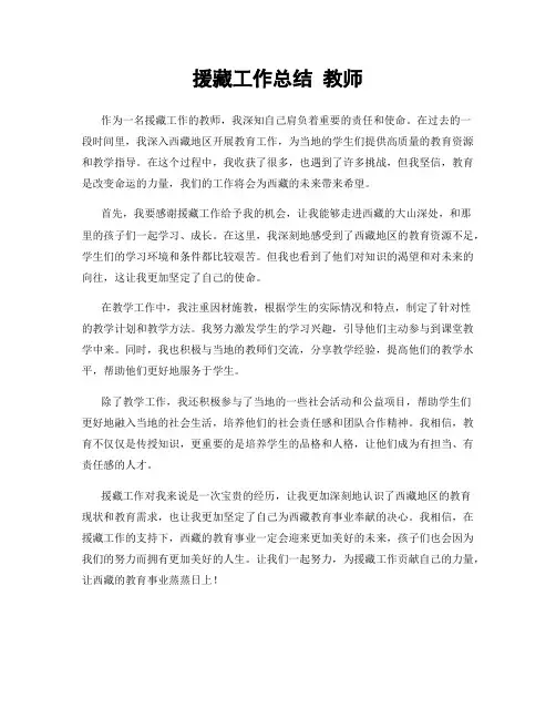 援藏工作总结 教师