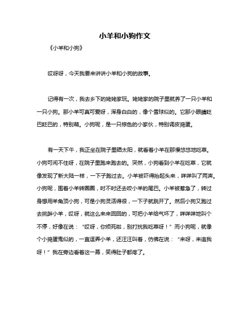 小羊和小狗作文