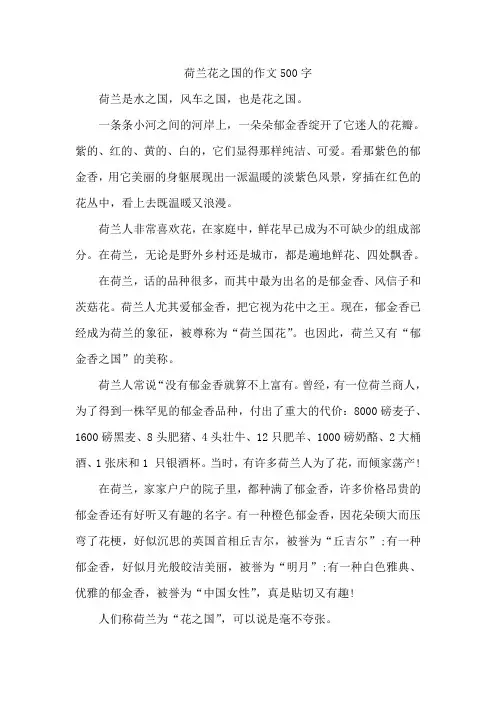 荷兰花之国的作文500字