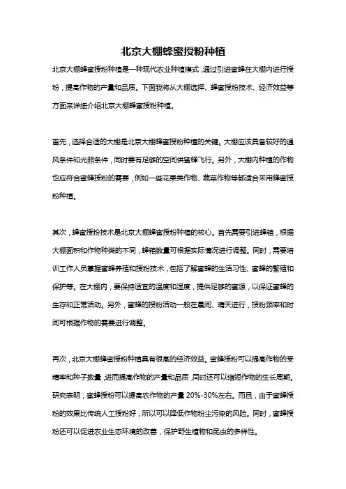 北京大棚蜂蜜授粉种植