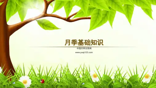 月季基础知识及养护大全 - 副本