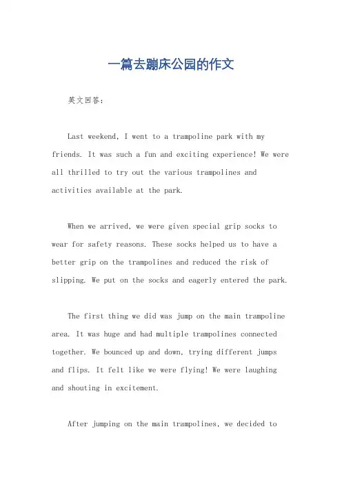 一篇去蹦床公园的作文