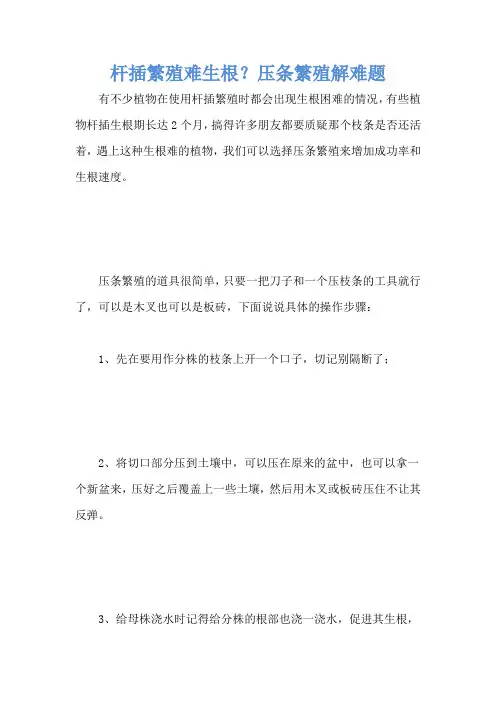 杆插繁殖难生根？压条繁殖解难题