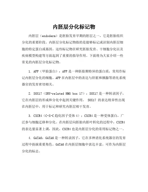内胚层分化标记物