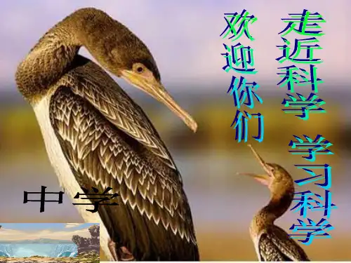走进科学PPT教学课件