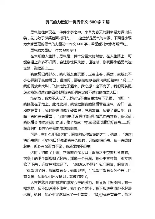 勇气的力量初一优秀作文600字7篇