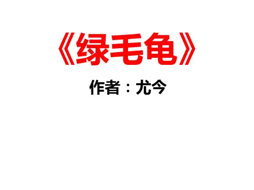 21、绿毛龟