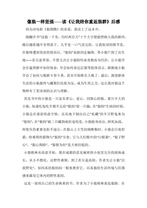 像狼一样坚强------读《让我陪你重返狼群》后感