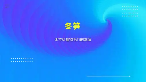 冬笋    