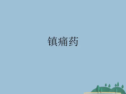 镇痛药优秀课件 (2)优秀课件
