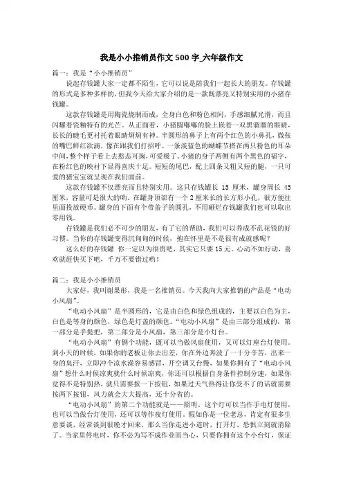 我是小小推销员作文500字_六年级作文