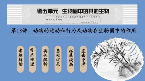 中考生物复习课件动物运动和行为及动物在生物圈 (共78张PPT)
