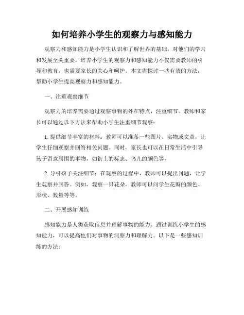 如何培养小学生的观察力与感知能力