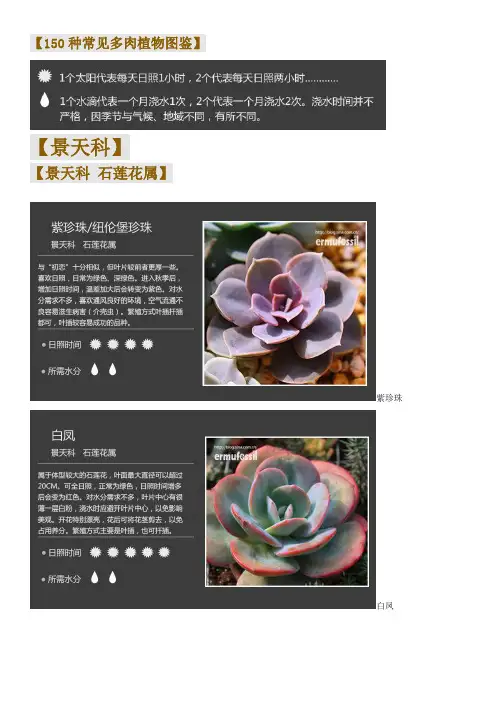 150种常见多肉植物图鉴
