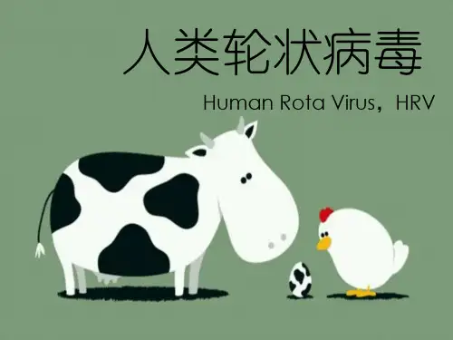 人类轮状病毒
