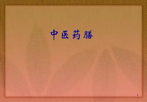中医药膳PPT课件