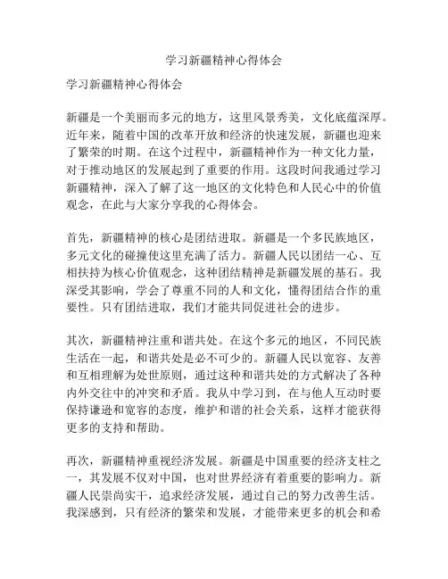 学习新疆精神心得体会