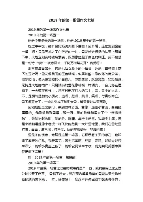 2019年的第一场雪作文七篇