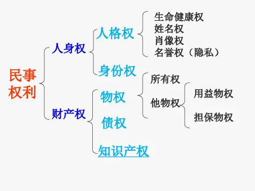 高中政治人教版选修五生活中的法律常识2.4切实保护知识产权 课件(共27张PPT)