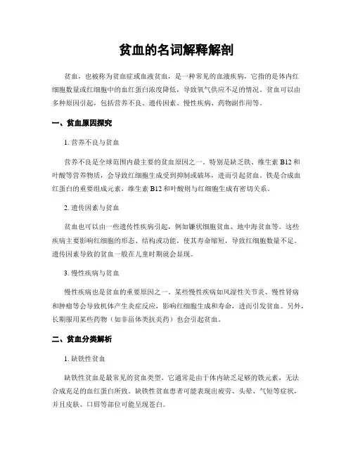 贫血的名词解释解剖